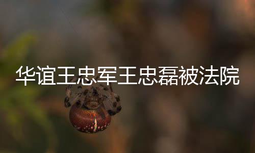 被法王忠忠磊制执执行行 院强亿军王金额超3华谊
