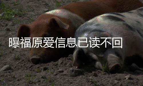 不回曝福理财信息原爱已读 疑延离产婚处似拖